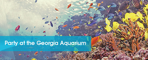 Party at the Georgia Aquarium